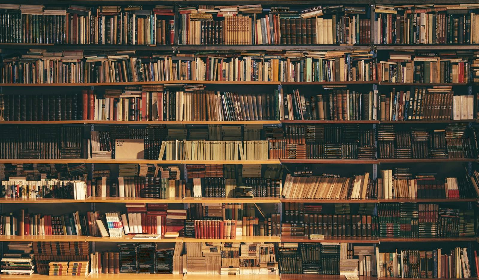 Tall bookshelves filled with rows of bound reference volumes